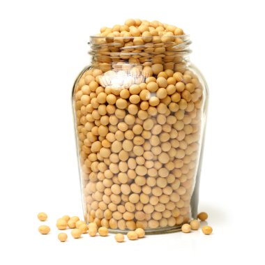 soya fasulyesi şişe