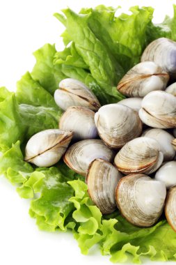 Midye salata üzerinde