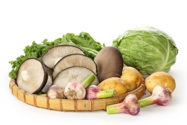 İstiridye mantarı.