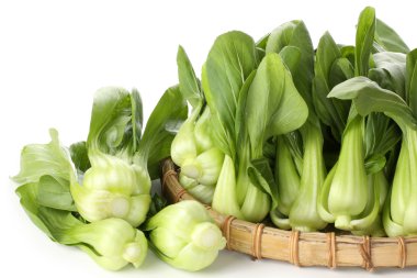 Pok Choi auf Tablett