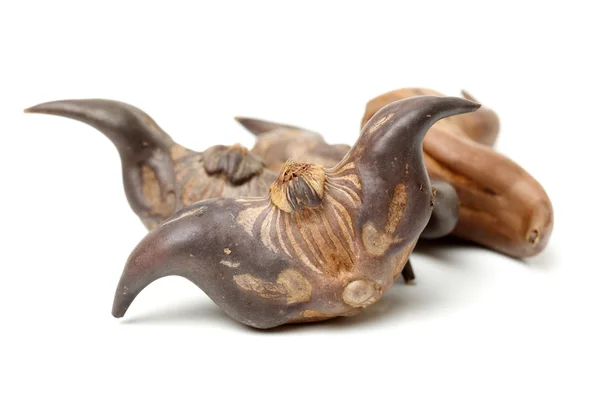 Water chestnuts Stock Photos, Royalty Free Water chestnuts Images