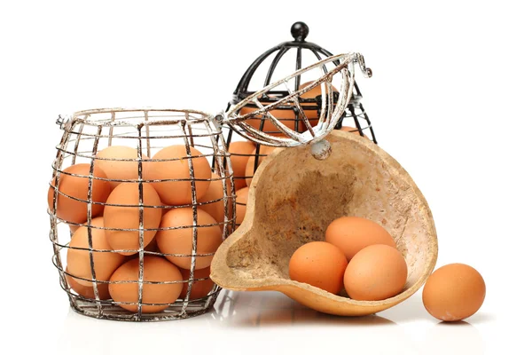 Yumurta kafesi — Stok fotoğraf