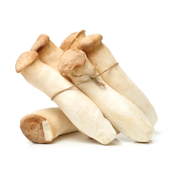 Heap of king oyster mushrooms — Stock Photo, Image