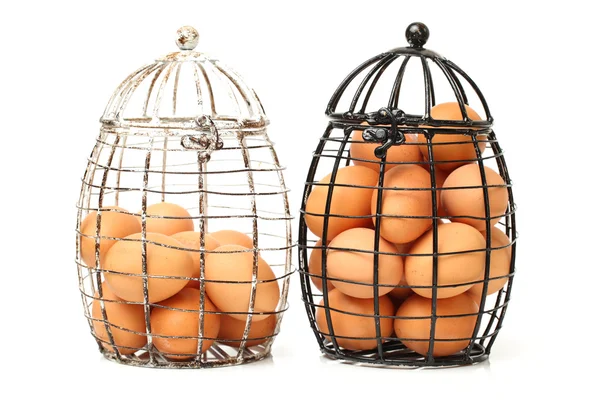 Ägg insamling — Stockfoto