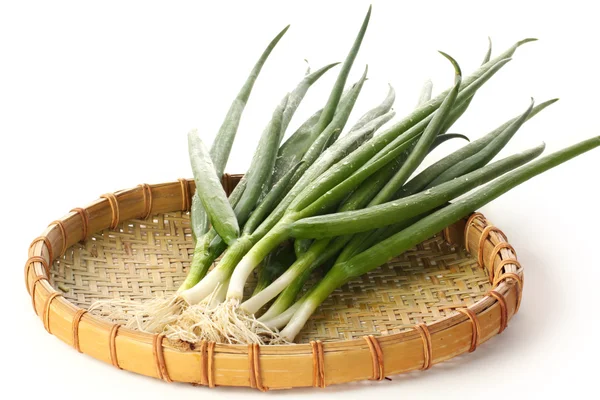 Tray with green onion — Stock Photo, Image