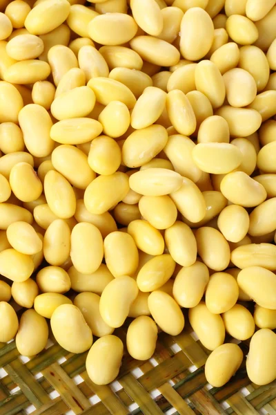 黄金の大豆 — ストック写真