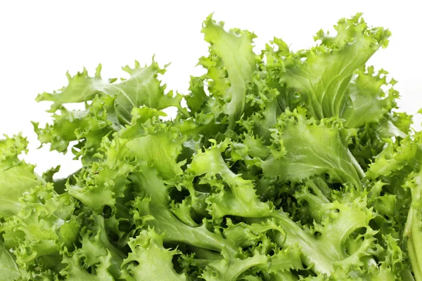 Tasty  lettuce — Stock Photo, Image