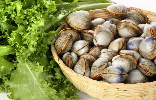 Моллюски с салатом — стоковое фото
