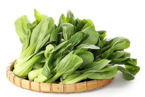 Pok choi op dienblad — Stockfoto