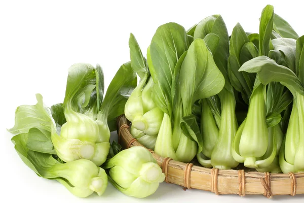 Pok choi op dienblad — Stockfoto