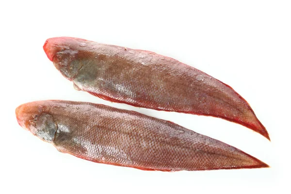 Egyetlen halak — Stock Fotó