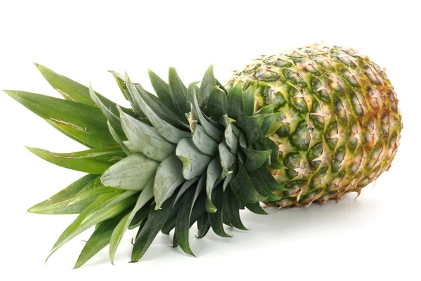 Ganze Ananas — Stockfoto