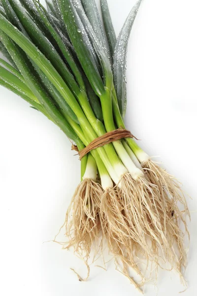 Onion bunch — Stock Photo, Image