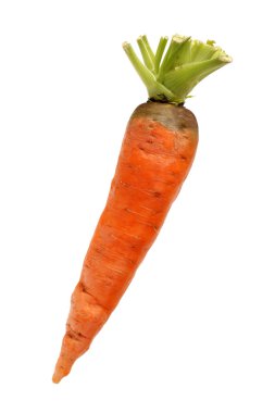 Fresh carrot clipart