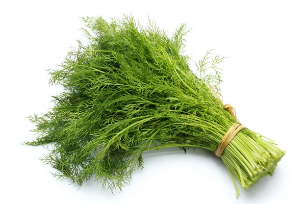 Groene dill — Stockfoto