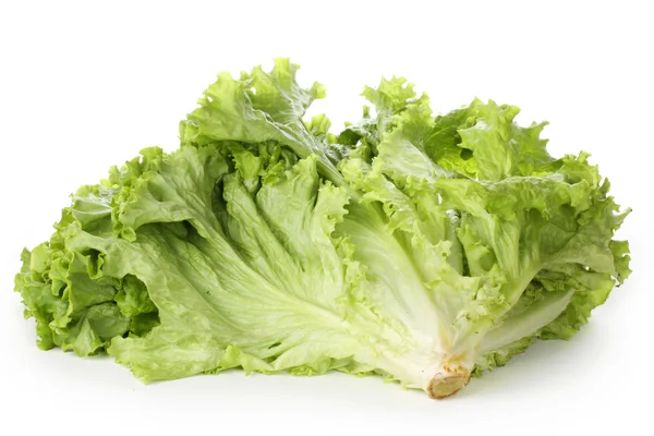 Grüner Salat — Stockfoto