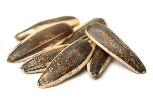 Sunflower seeds — Stock Photo, Image