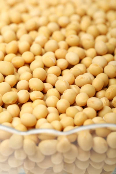 Bowl of soy beans — Stock Photo, Image