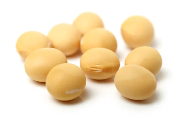 Gold soybeans — Stock Photo, Image