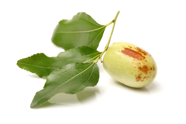 Jujube med blad — Stockfoto