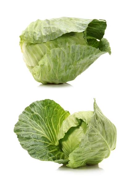 Fresh cabbages — Stock Photo, Image
