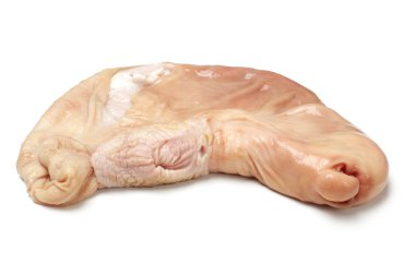 domuz organı