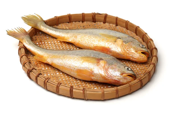 Fishes in tray — Stock Photo, Image