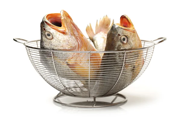 Fishes in bowl — Stock Photo, Image