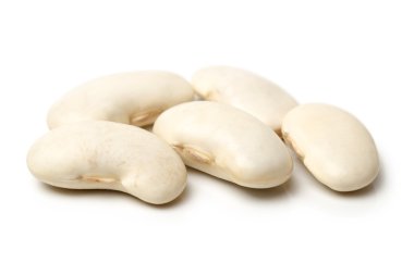 White beans clipart