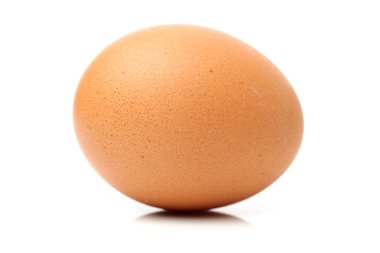 kahverengi yumurta