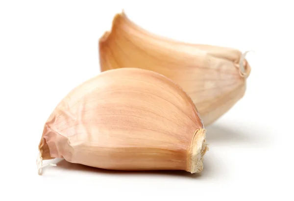 Frischer Knoblauch — Stockfoto