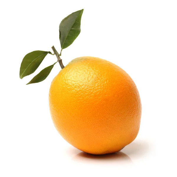 Апельсин — стоковое фото