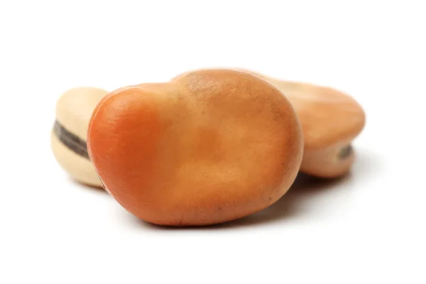 Fava beans — Stock Photo, Image