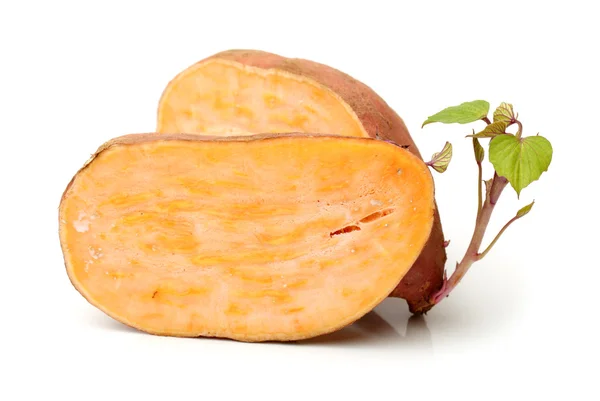 Potatis med blad — Stockfoto