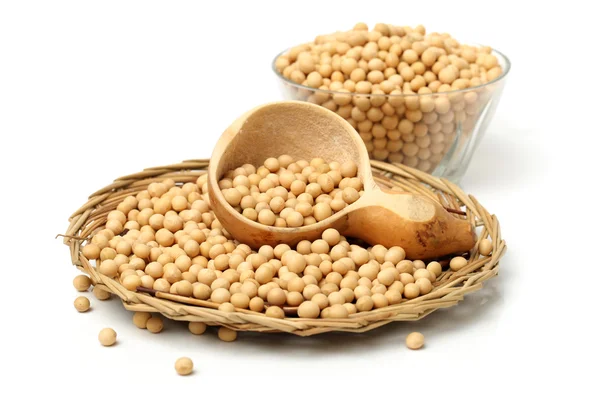 Gold soybeans — Stock Photo, Image