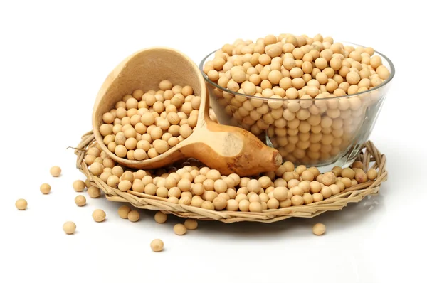 Gold soybeans — Stock Photo, Image