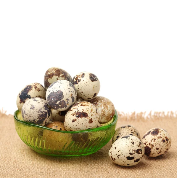 Full bowl of quail eggs — Stock Photo, Image