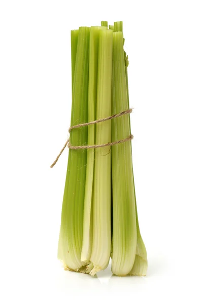 Celery bunch — Stock Photo, Image