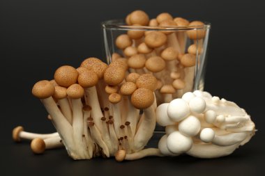 Mushrooms in glass clipart