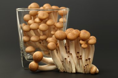 Mushrooms in glass clipart