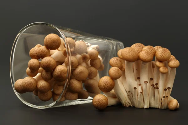 Mushrooms in glass — Stock Photo, Image