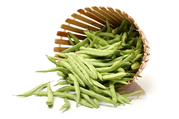 Haricots verts — Photo