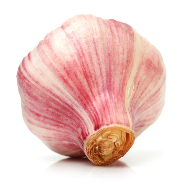New garlic — Stock Photo, Image