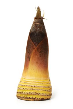 Bambu dilim