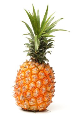 Tüm ananas