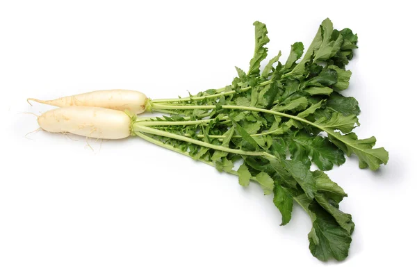 White radishes — Stock Photo, Image