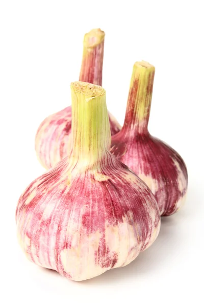 Garlic bulbs — Stock Photo, Image