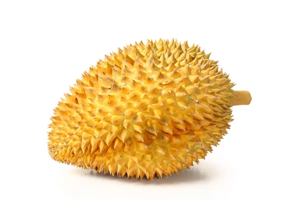 Durian meyve — Stok fotoğraf