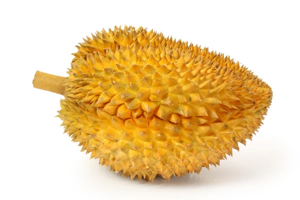 Durian meyve — Stok fotoğraf