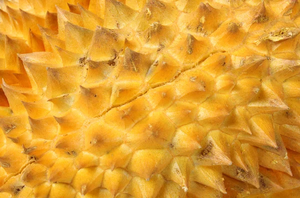 Piel Durian — Foto de Stock